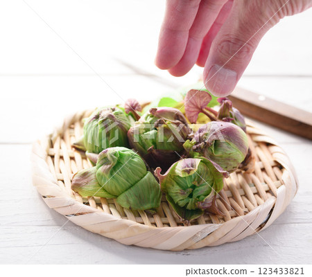 Early spring ingredients Fukinoto 123433821