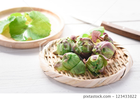 Early spring ingredients Fukinoto 123433822