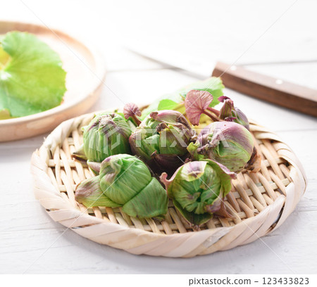 Early spring ingredients Fukinoto 123433823