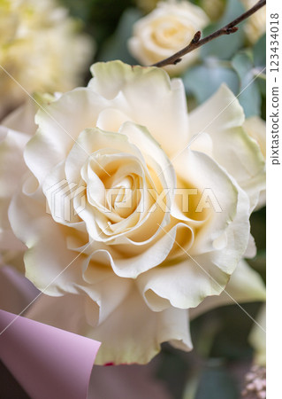 Delicate white and pink roses close up 123434018