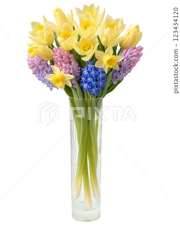 Spring Melody (Tulips Daffodils Hyacinths) tall, cylindrical glass vase with water refracting delicate pastel hues, holding a vibrant 123434120