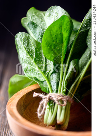 Macro shot of baby spinach leaves with water drops Macro shot of baby spinach leaves with water drops 123434244