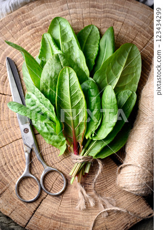 Freshly harvested sorrel leaves placed on a wooden cutting board Freshly harvested sorrel leaves placed on a wooden cutting board 123434299