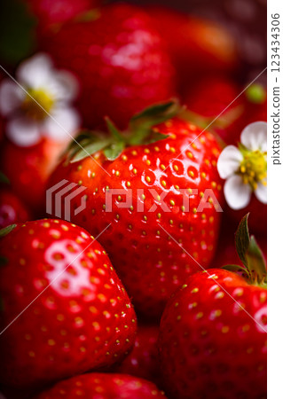 Macro shot of vibrant red strawberries with flowers 123434306