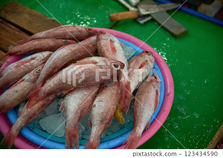 Jagalchi Fish Market the largest seafood market in Busan South Korea Jagalchi Fish Market the largest seafood market in Busan South Korea 123434590