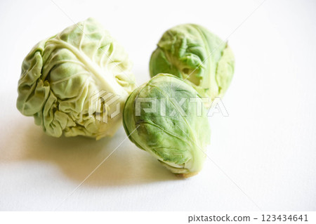 球芽甘藍 123434641