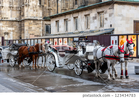 White Lipizzaner tourist chariot horses, trained in the Spanish Riding School in Vienna, capital of Austria White Lipizzaner tourist chariot horses, trained in the Spanish Riding School in Vienna, capital of Austria 123434783
