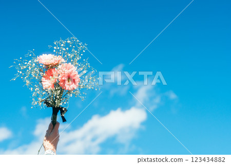 藍天下,一手捧著一束粉紅色非洲菊和滿天星 藍天下,一手捧著一束粉紅色非洲菊和滿天星 123434882