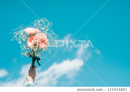 A hand holding a bouquet of pink gerberas and baby's breath under the blue sky 123434883
