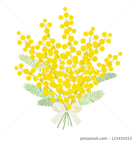 Mimosa bouquet_vector illustration Mimosa bouquet_vector illustration 123435013