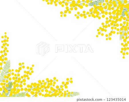 Mimosa frame_vector illustration Mimosa frame_vector illustration 123435014