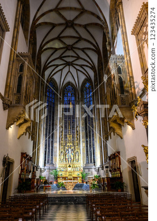 Cathedral of Saints Peter and Paul, Roman Catholic cathedral on the Petrov hill in Brno, Czech Republic Cathedral of Saints Peter and Paul, Roman Catholic cathedral on the Petrov hill in Brno, Czech Republic 123435274