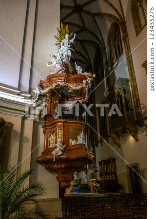 Cathedral of Saints Peter and Paul, Roman Catholic cathedral on the Petrov hill in Brno, Czech Republic Cathedral of Saints Peter and Paul, Roman Catholic cathedral on the Petrov hill in Brno, Czech Republic 123435276