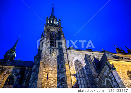 Cathedral of Saints Peter and Paul, Roman Catholic cathedral on the Petrov hill in Brno, Czech Republic 123435287