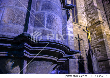 Cathedral of Saints Peter and Paul, Roman Catholic cathedral on the Petrov hill in Brno, Czech Republic 123435293