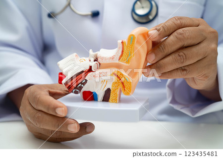 Asian doctor holding human ear model to learn and treat hearing loss in patient. 123435481