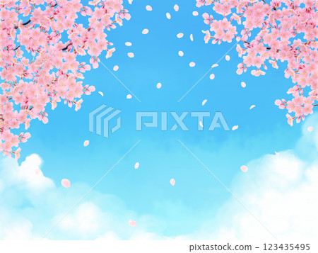 盛開的櫻花背景素材 123435495