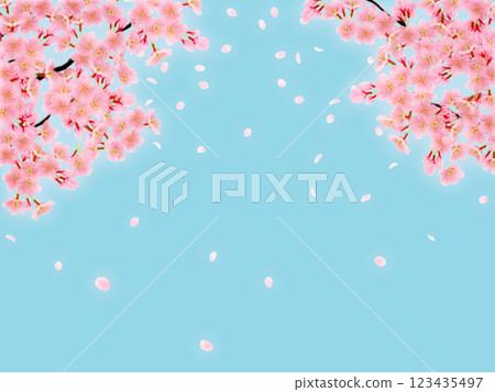 盛開的櫻花背景素材 123435497