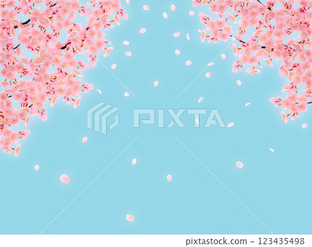 盛開的櫻花背景素材 123435498