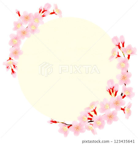 Somei Yoshino cherry blossom frame material Somei Yoshino cherry blossom frame material 123435641