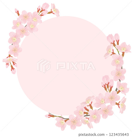 Somei Yoshino cherry blossom frame material Somei Yoshino cherry blossom frame material 123435643