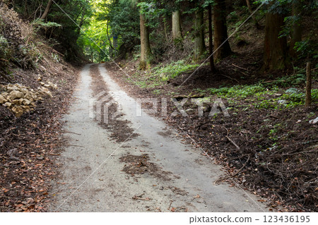 [Rokujizo Pass] A narrow prefectural road at the prefectural border 123436195