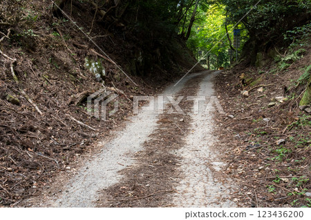 [Rokujizo Pass] A narrow prefectural road at the prefectural border 123436200
