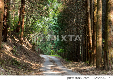 【六地藏峠】縣界的一條狹窄的縣道 123436206