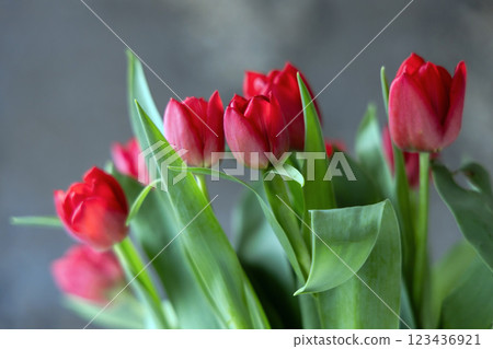A Stunning Display of Gorgeous Red Tulips in a Modern and Artistic Floral Arrangement A Stunning Display of Gorgeous Red Tulips in a Modern and Artistic Floral Arrangement 123436921
