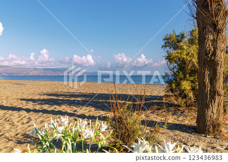 Sea shore. Beautiful empty beach in summer sunny day on Crete island in Greece. 123436983