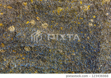 This image shows a textured rock surface with vibrant color variations and various patterns 123436988