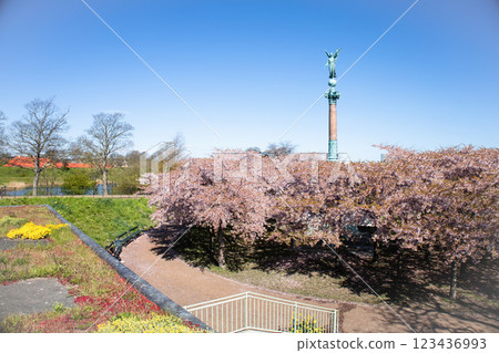 Copenhagen-Denmark. Cherry Blossom in Langelinie park. Sakure festival. 123436993