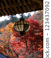 Autumn leaves of Hase-dera Temple 123437092