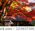 Autumn leaves of Hase-dera Temple 123437100