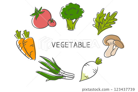 Hand-drawn of vegetables collection Hand-drawn of vegetables collection 123437739