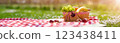 Checkered duvet lying on the fresh green grass and wicker picnic basket fresh food and drink standing on it. 123438411
