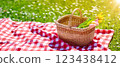 Checkered duvet lying on the fresh green grass and wicker picnic basket with bunch of tulips standing on it. 123438412