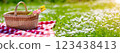 Checkered duvet lying on the fresh green grass and wicker picnic basket with bunch of tulips standing on it. 123438413