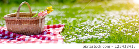 Checkered duvet lying on the fresh green grass and wicker picnic basket with bunch of tulips standing on it. 123438413