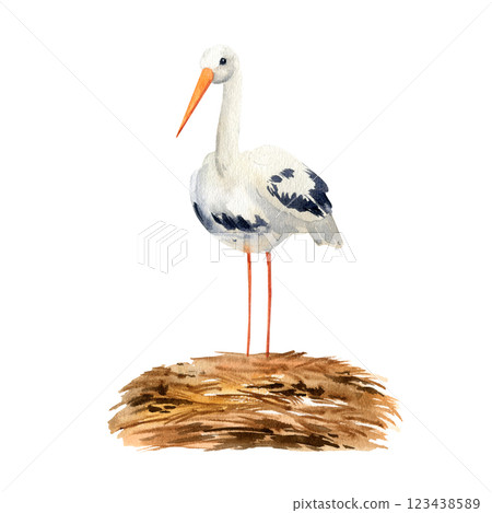 white stork in the nest on white background, wild flying bird in wildlife, watercolor illustration of animal life, hand drawn sketch of symbol of the birth of a child white stork in the nest on white background, wild flying bird in wildlife, watercolor illustration of animal life, hand drawn sketch of symbol of the birth of a child 123438589