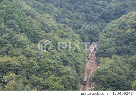 [土讃線] 坪尻車站的普通列車交錯 123439248