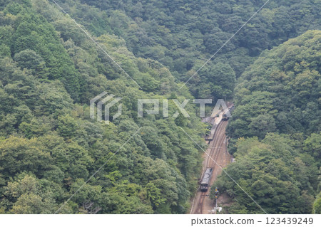 [Tosan Line] Local trains passing each other at Tsubojiri Station 123439249