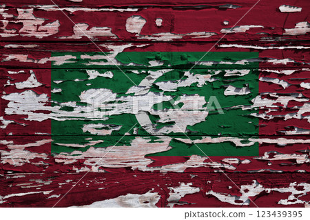 Flag of the Maldives painted on a wooden board Flag of the Maldives painted on a wooden board 123439395