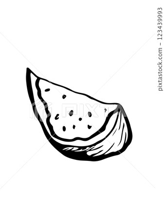 fig fruit vector sketch 123439993