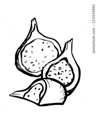 figs fruits vector sketch 123439995