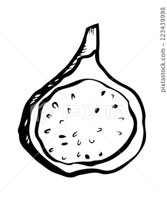 fig fruit vector sketch fig fruit vector sketch 123439998