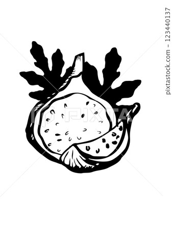 figs fruit leaf vector sketch figs fruit leaf vector sketch 123440137