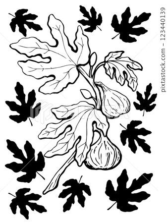 figs branch fruit with leaf vector sketch set figs branch fruit with leaf vector sketch set 123440139