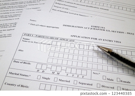 Visa application for Singapore 123440385