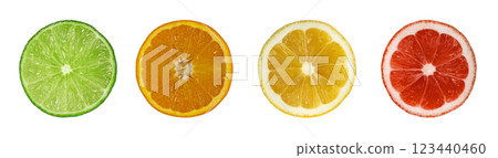 Citrus fruit slices isolated, top view. Grapefruit, orange, lime and lemon 123440460